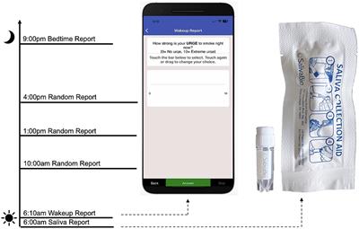Methodological approach for an integrated female-specific study of anxiety and smoking comorbidity